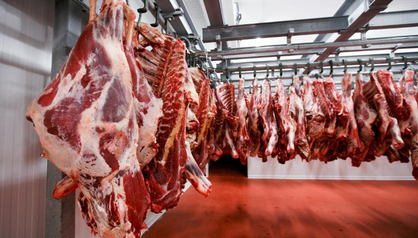 أسعار اللحوم في مصر اليوم الاربعاء