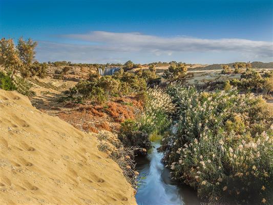 المحميات الطبيعية تفتح أبوابها للجمهور فى أعياد الربيع بخطط إنقاذ وإرشاد مبتكره