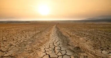 إطلاق الأسبوع الوطنى الـ12 تحت شعار «حلول عادلة ومستدامة لتعزيز القدرة على الصمود»